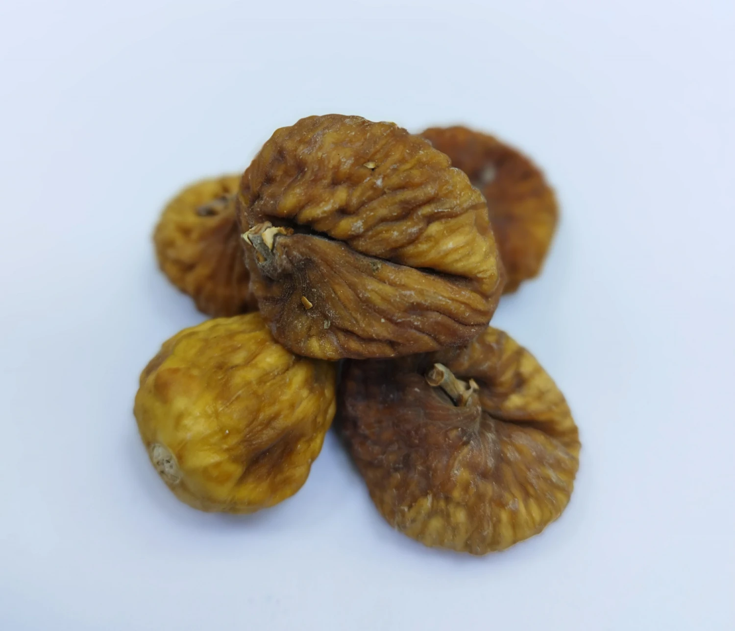 "Injir" Gury iýmişler